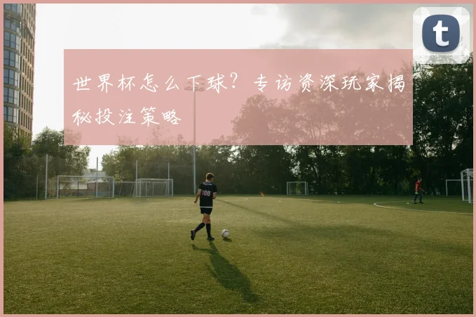 世界杯怎么下球？专访资深玩家揭秘投注策略