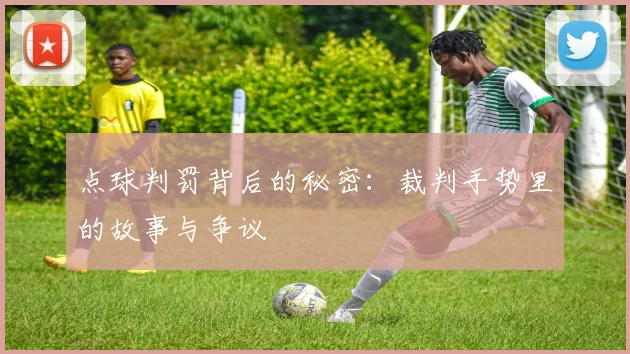 点球判罚背后的秘密:裁判手势里的故事与争议