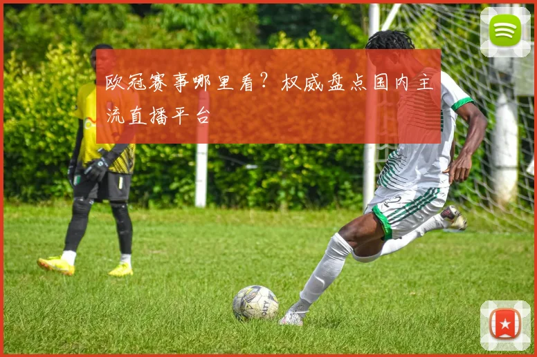 欧冠赛事哪里看？权威盘点国内主流直播平台